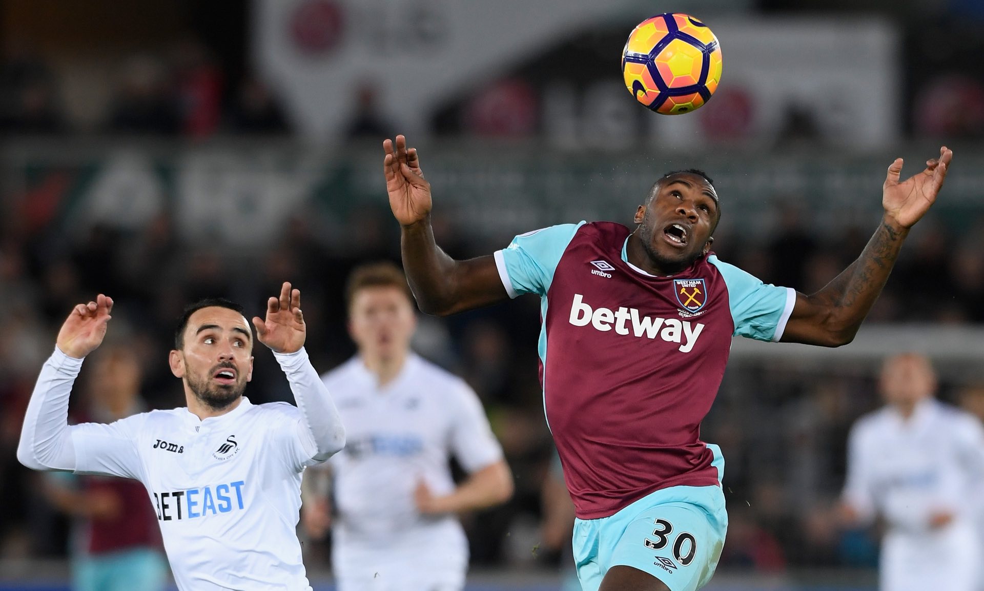 中可以看出 中可以看出